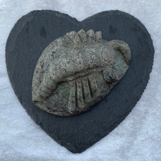 Labradorite Scorpion
