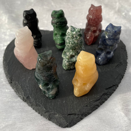 Mini Crystal Owl on Skull Carvings