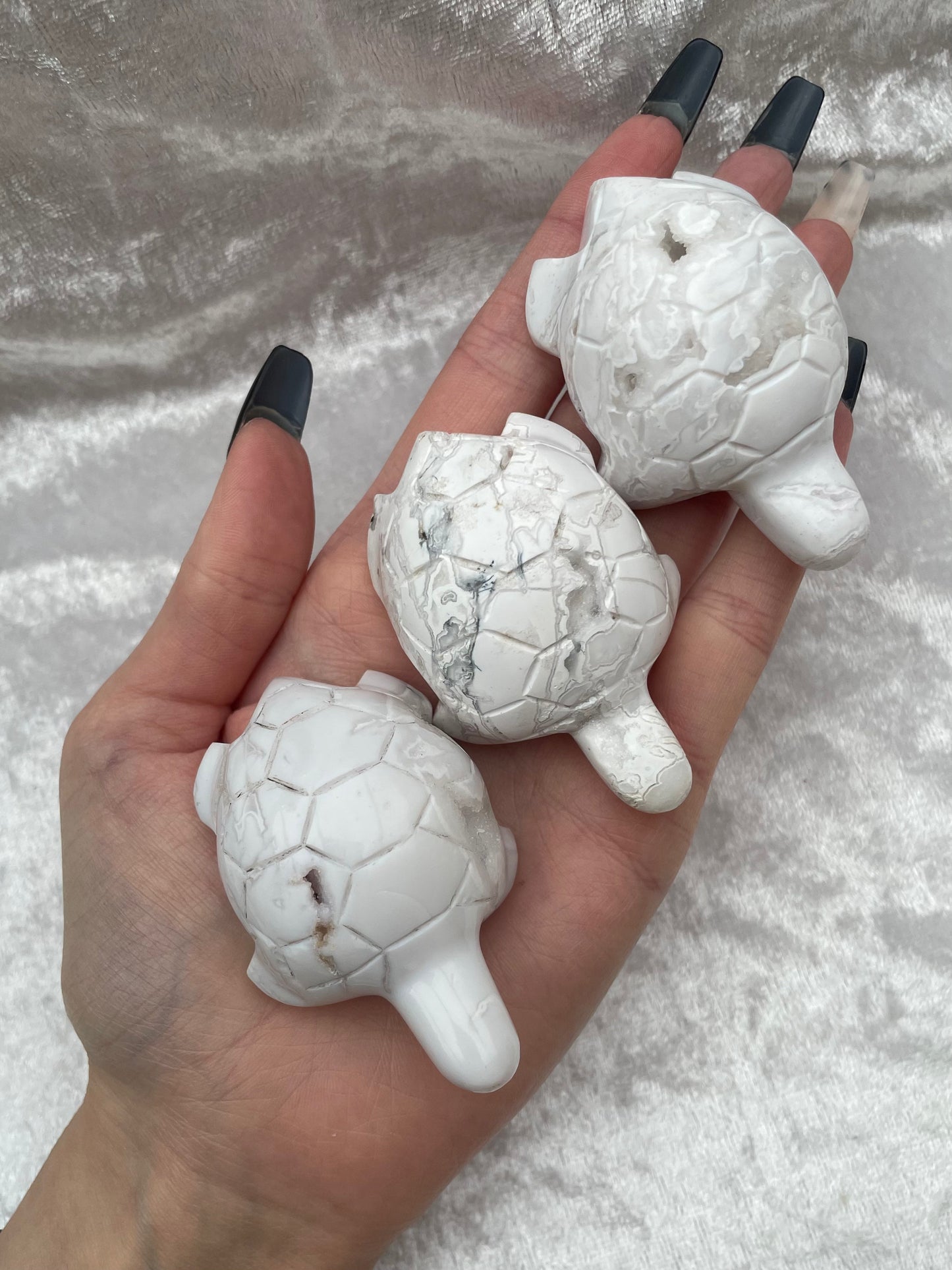 Snow Agate Turtles