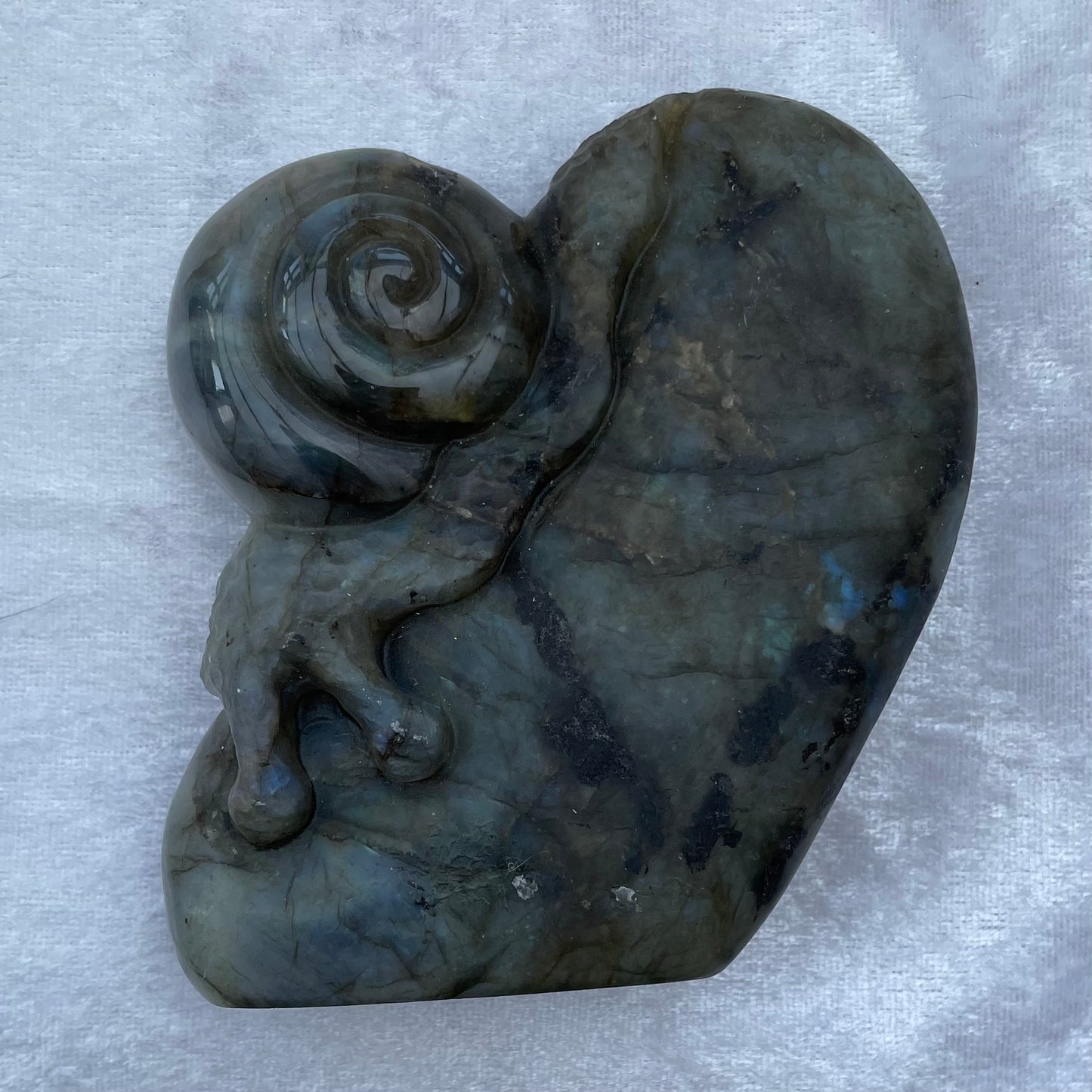 Labradorite Snail
