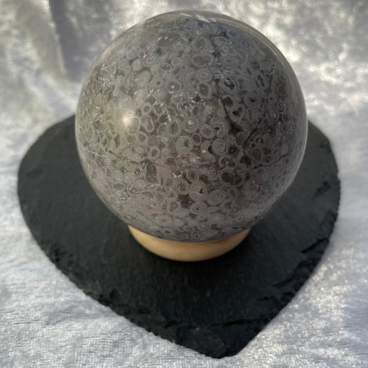 Crinoid Fossil Sphere