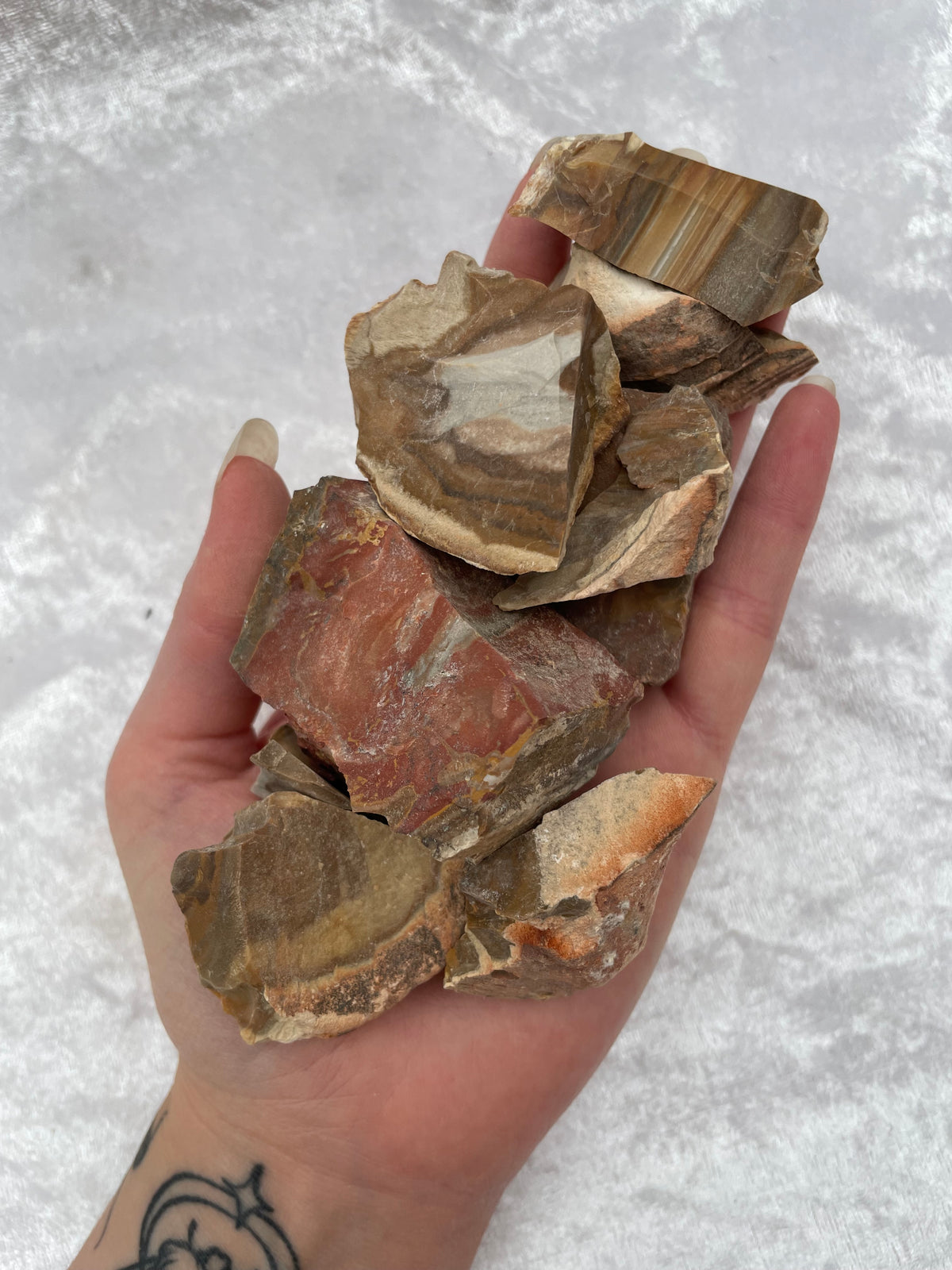Rough Banded Jasper