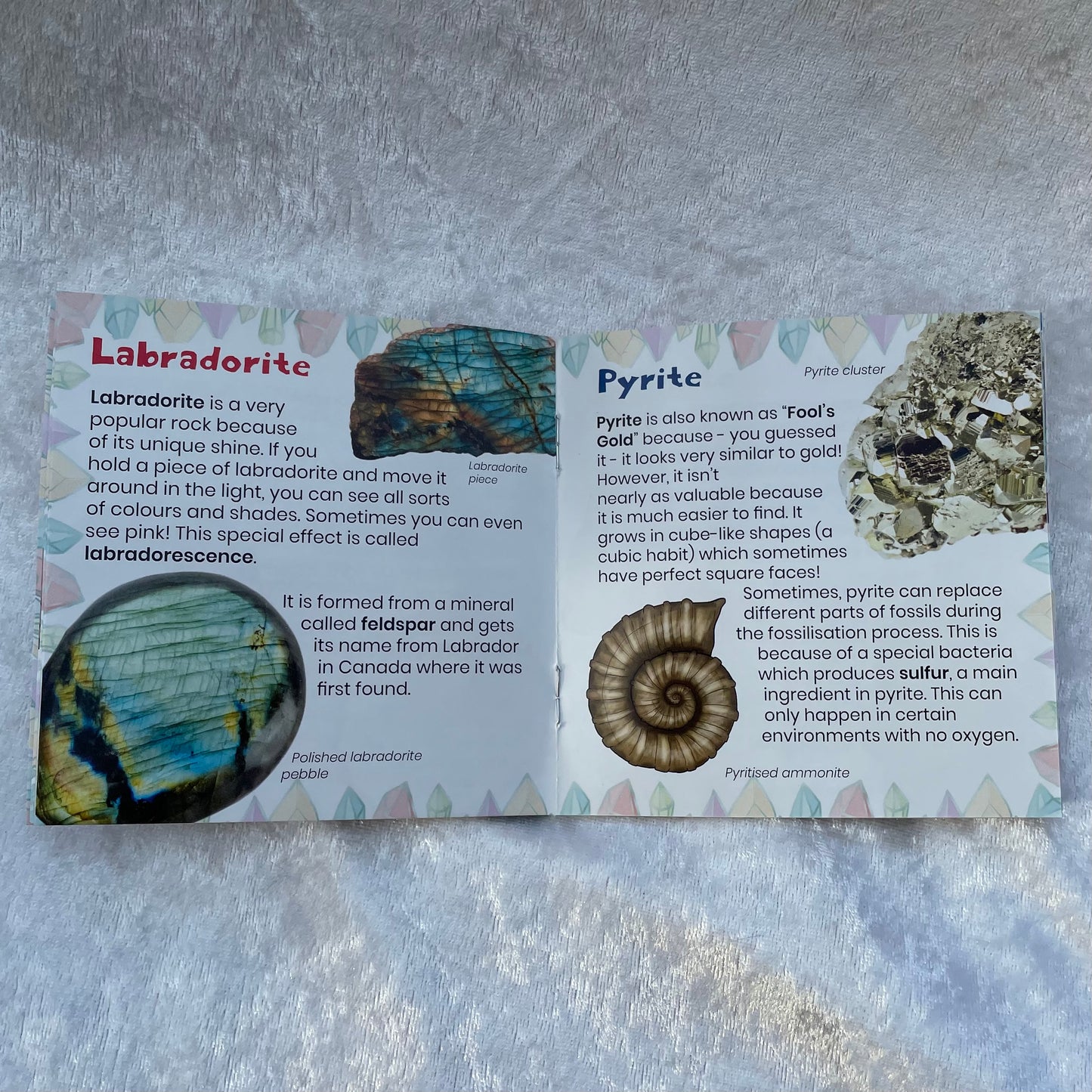 The Study of Minerals Book