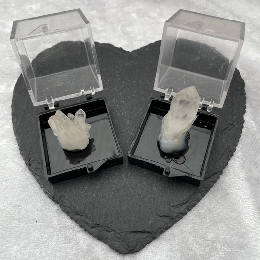 Clear Quartz Point Clusters in Specimen Boxes