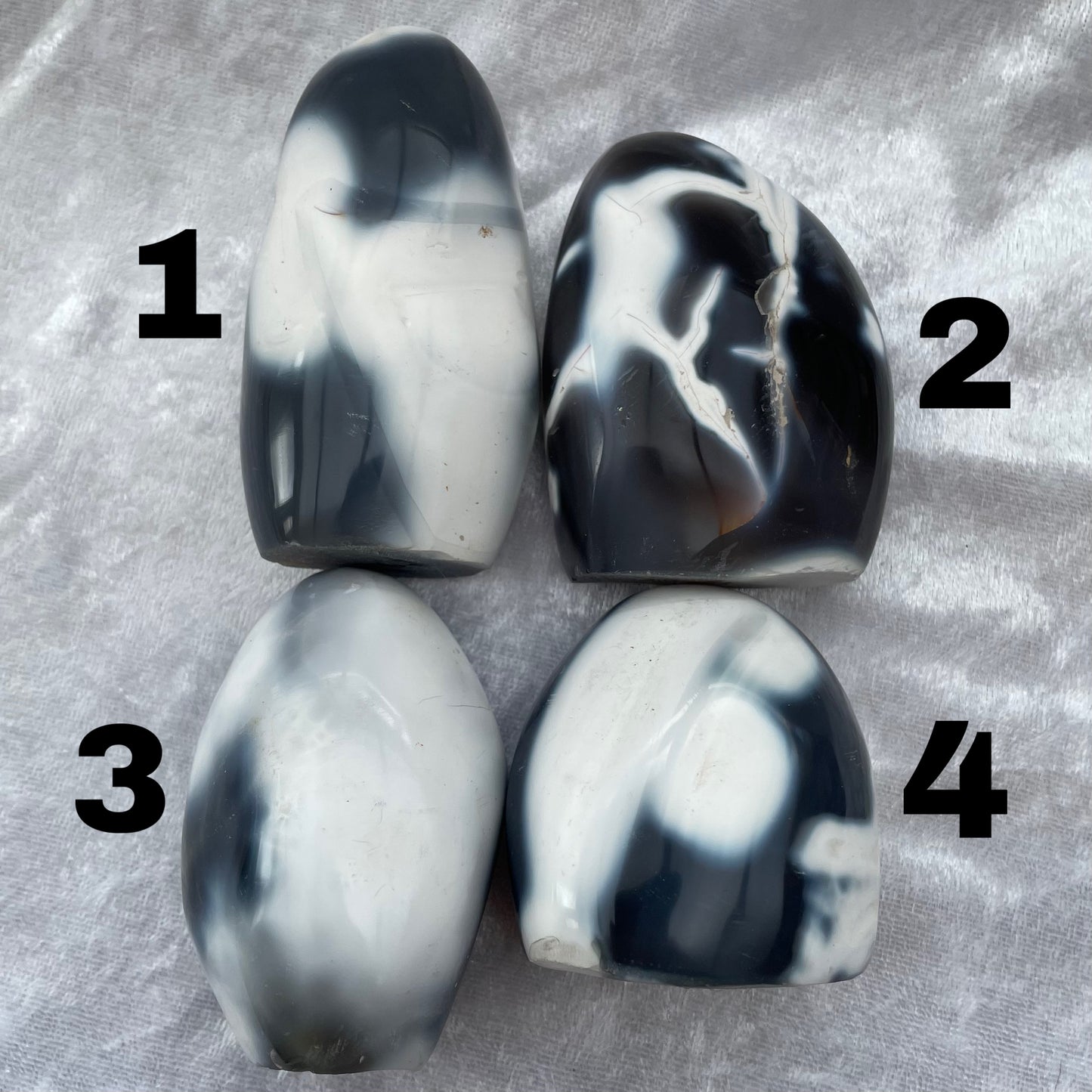 Orca Agate Freeforms