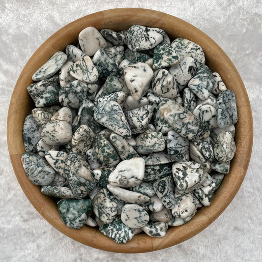 Tree Agate Tumblestones