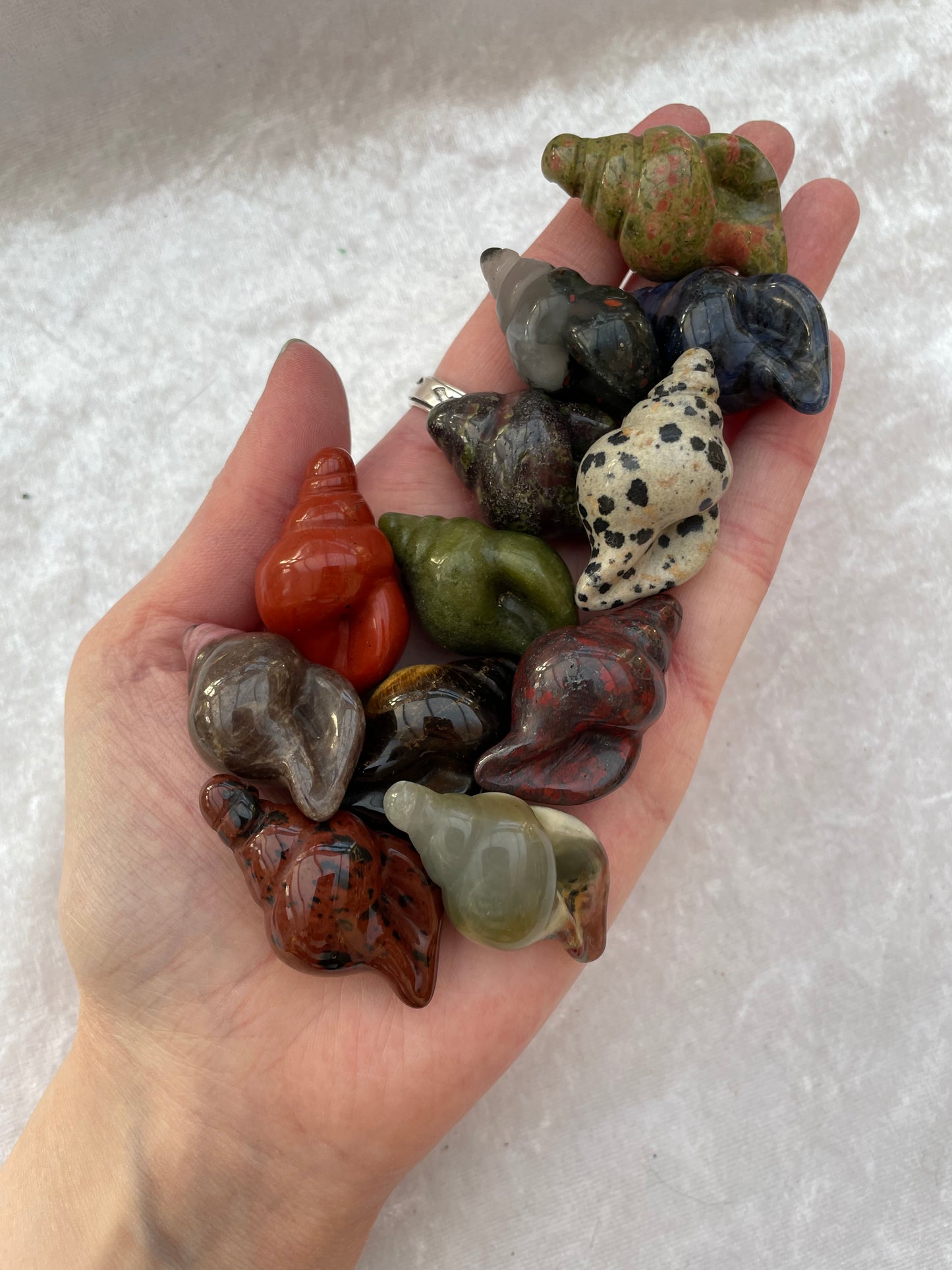 Mini Crystal Conch Shells