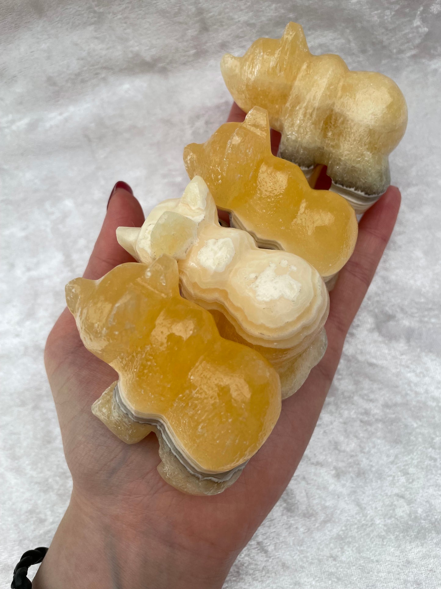 Zebra Onyx Bears