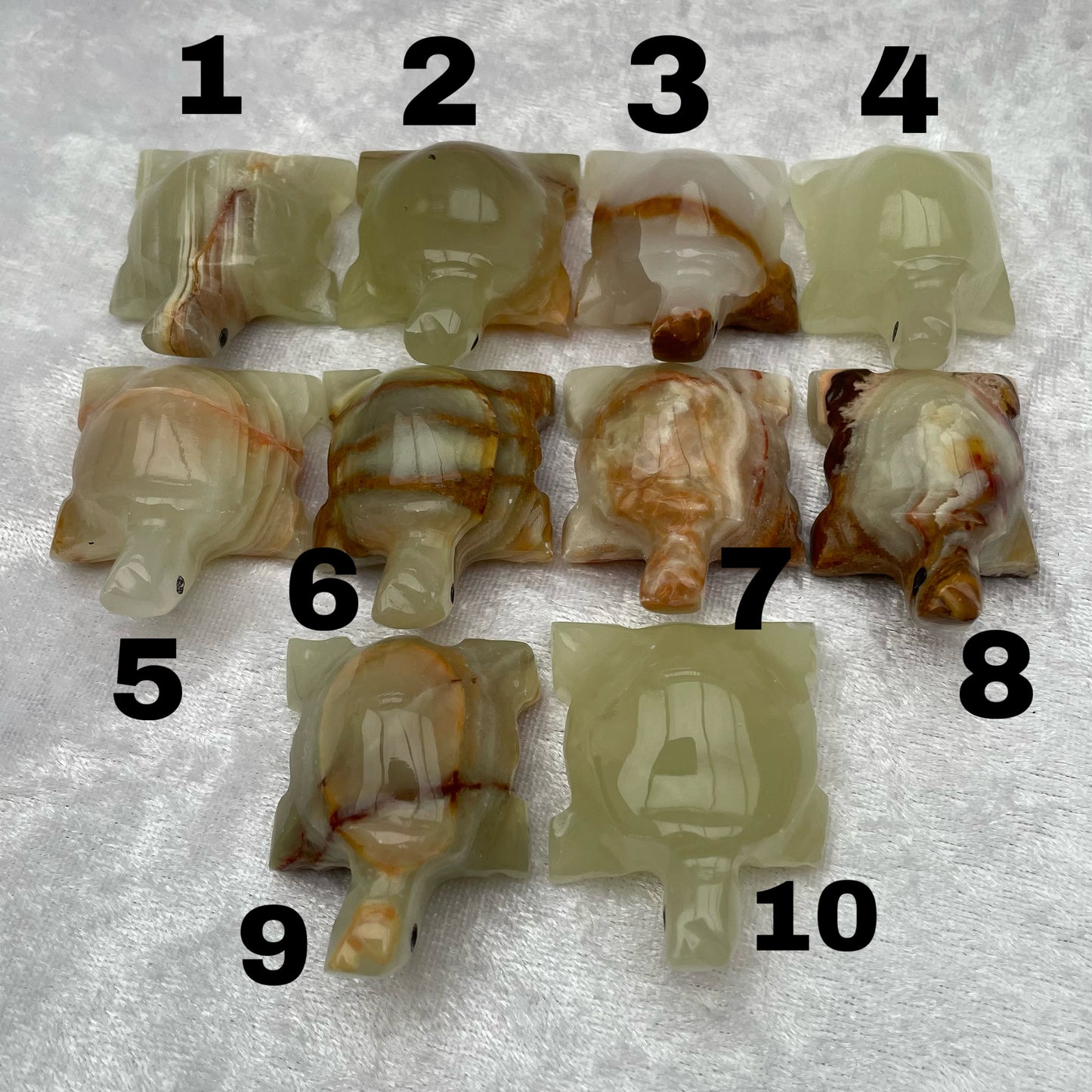 Mini Onyx Turtles