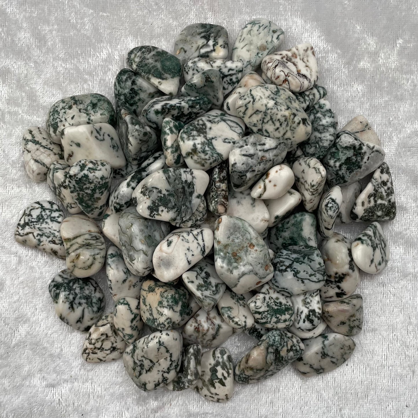 Tree Agate Tumblestones