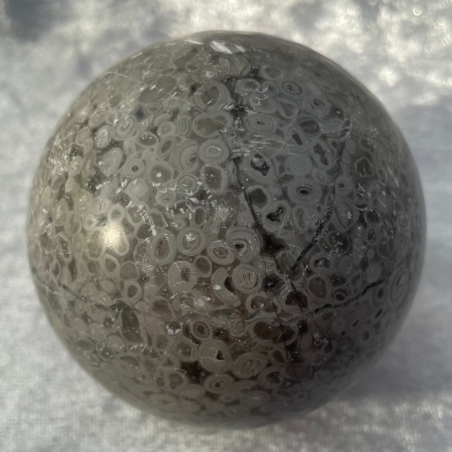 Crinoid Fossil Sphere