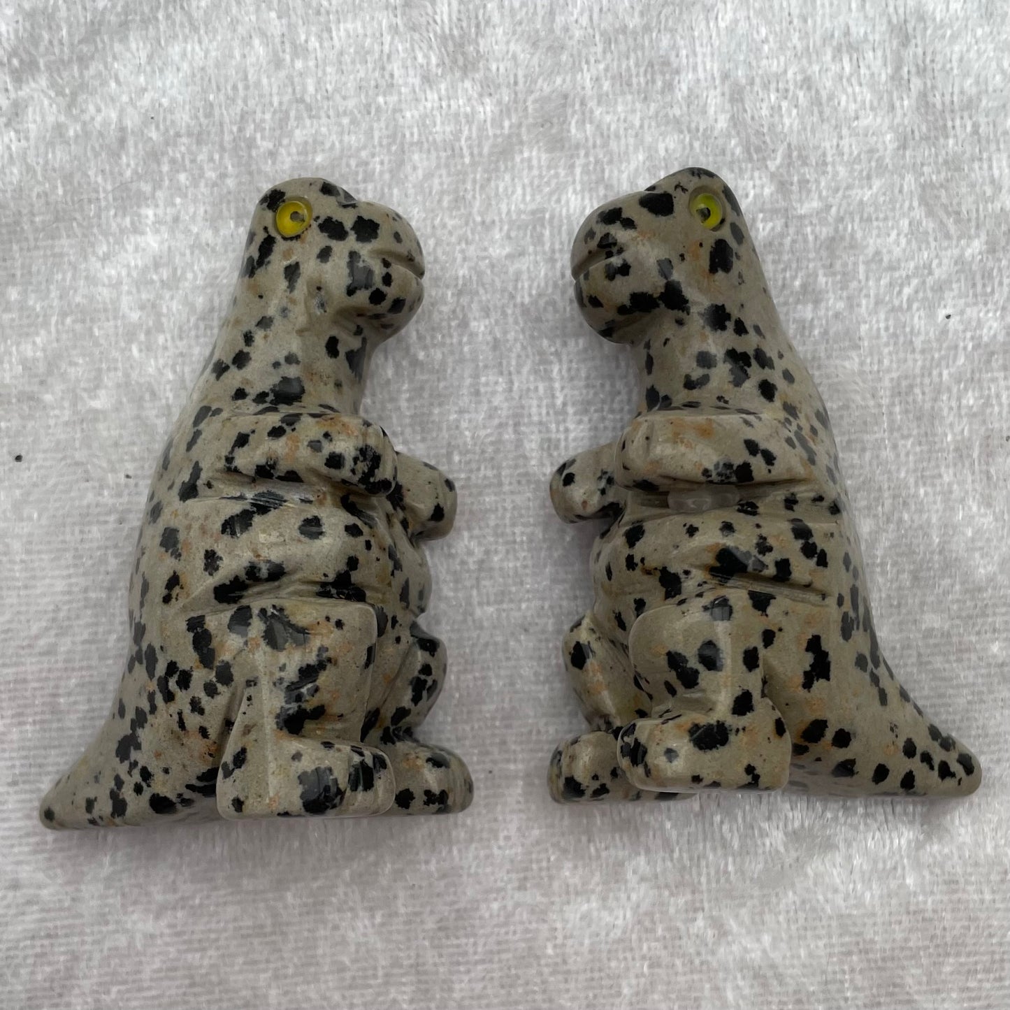 Dalmatian Jasper Dinosaurs