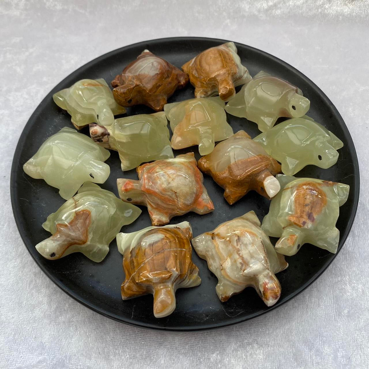 Mini Onyx Turtles