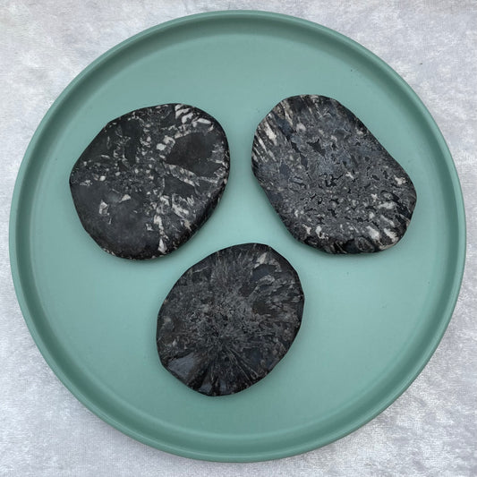 Chrysanthemum Stone Palmstones