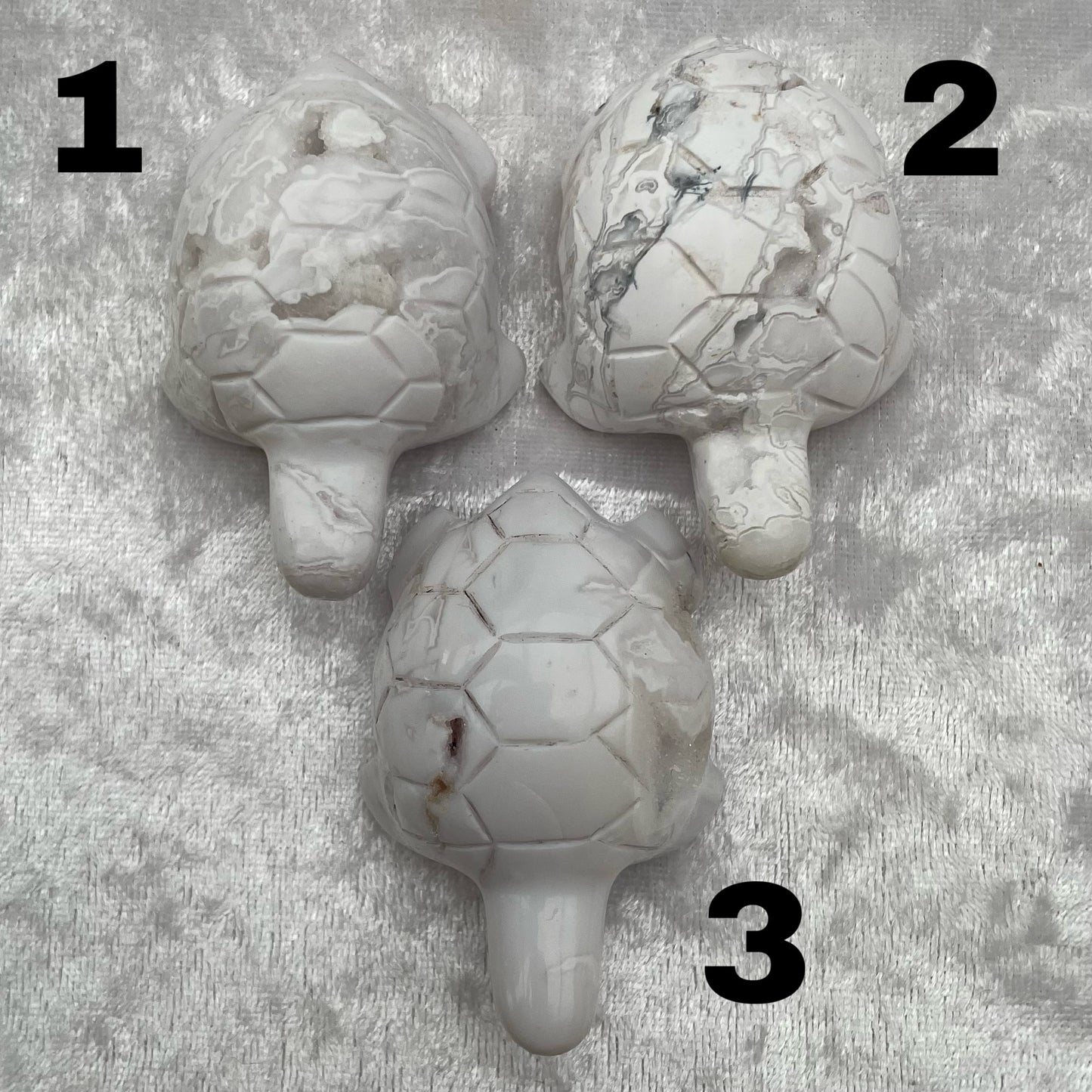 Snow Agate Turtles