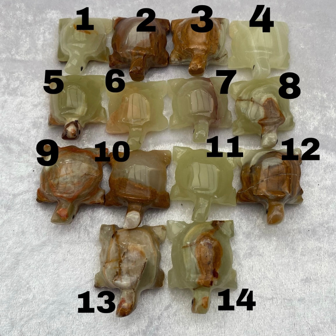 Mini Onyx Turtles