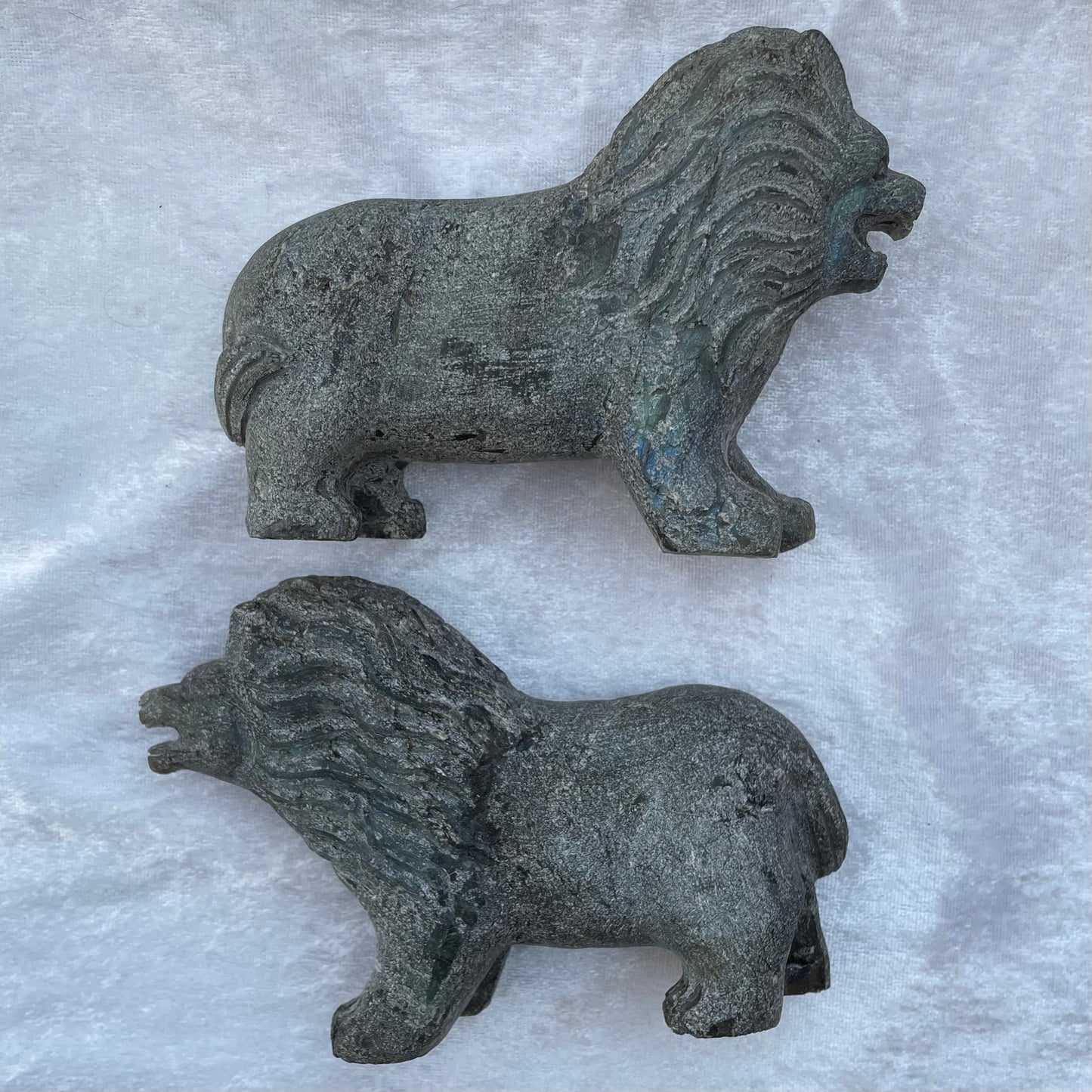 Labradorite Lions