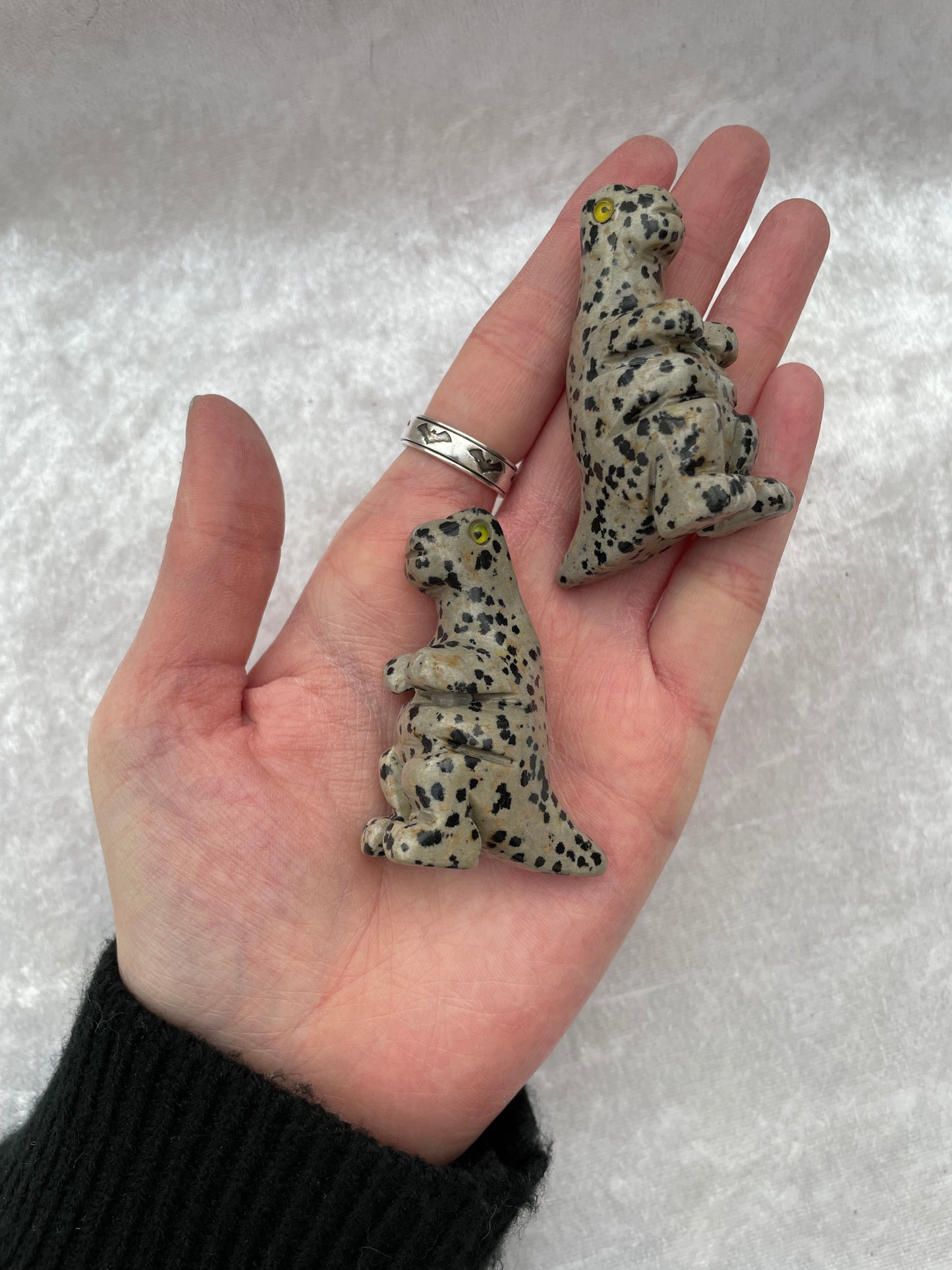 Dalmatian Jasper Dinosaurs
