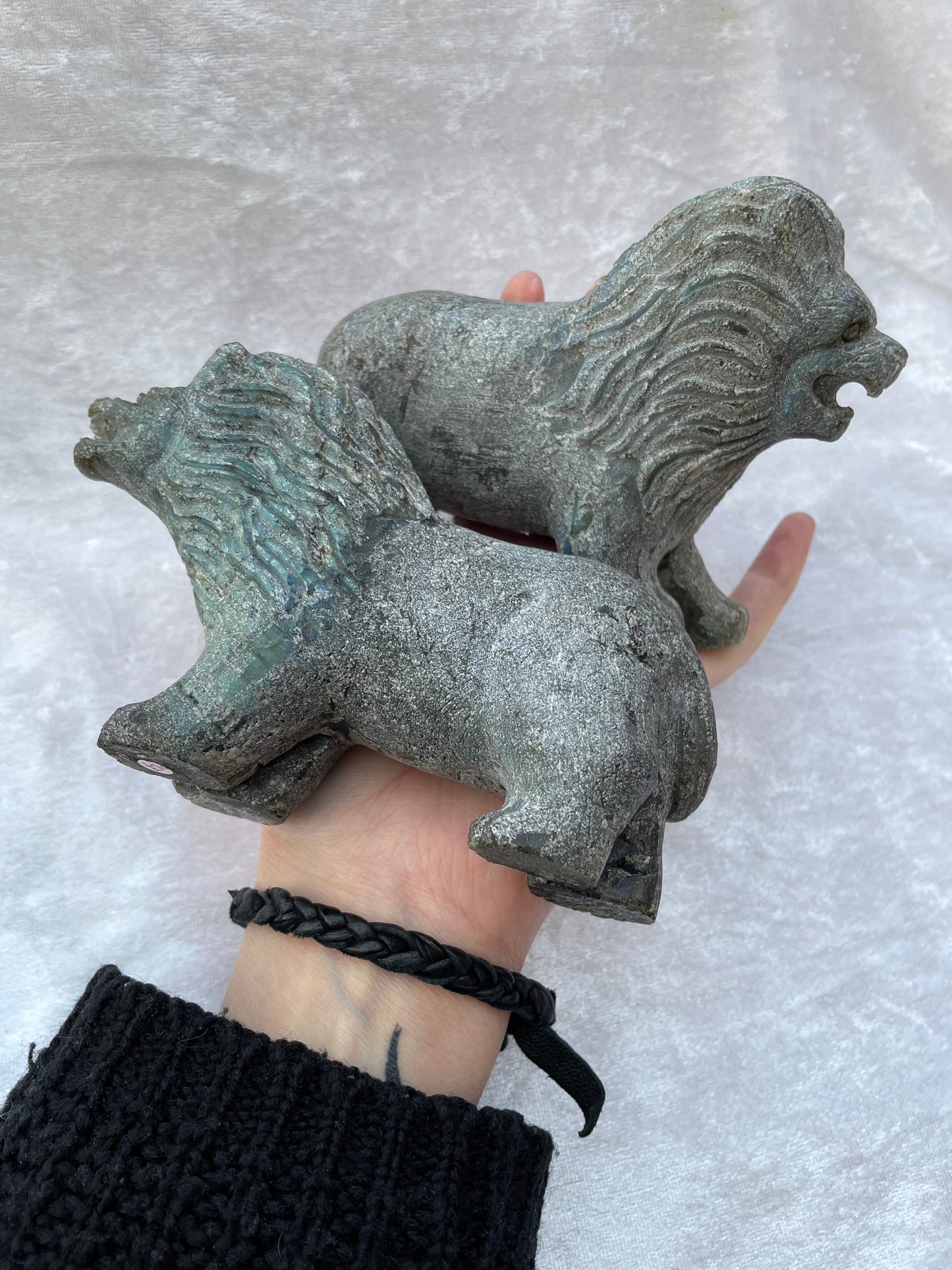 Labradorite Lions