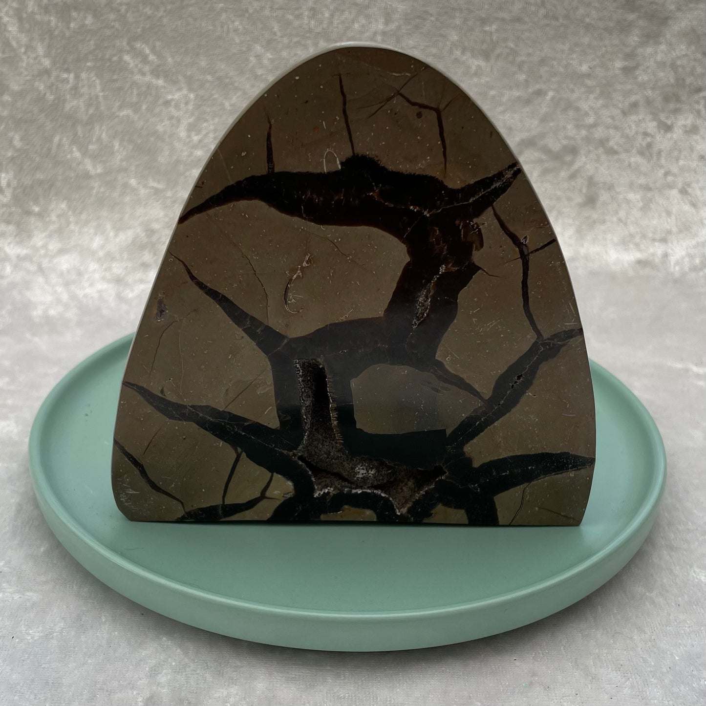 Druzy Septarian Freeform