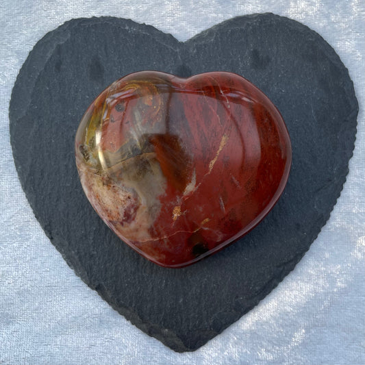 Petrified Wood Heart