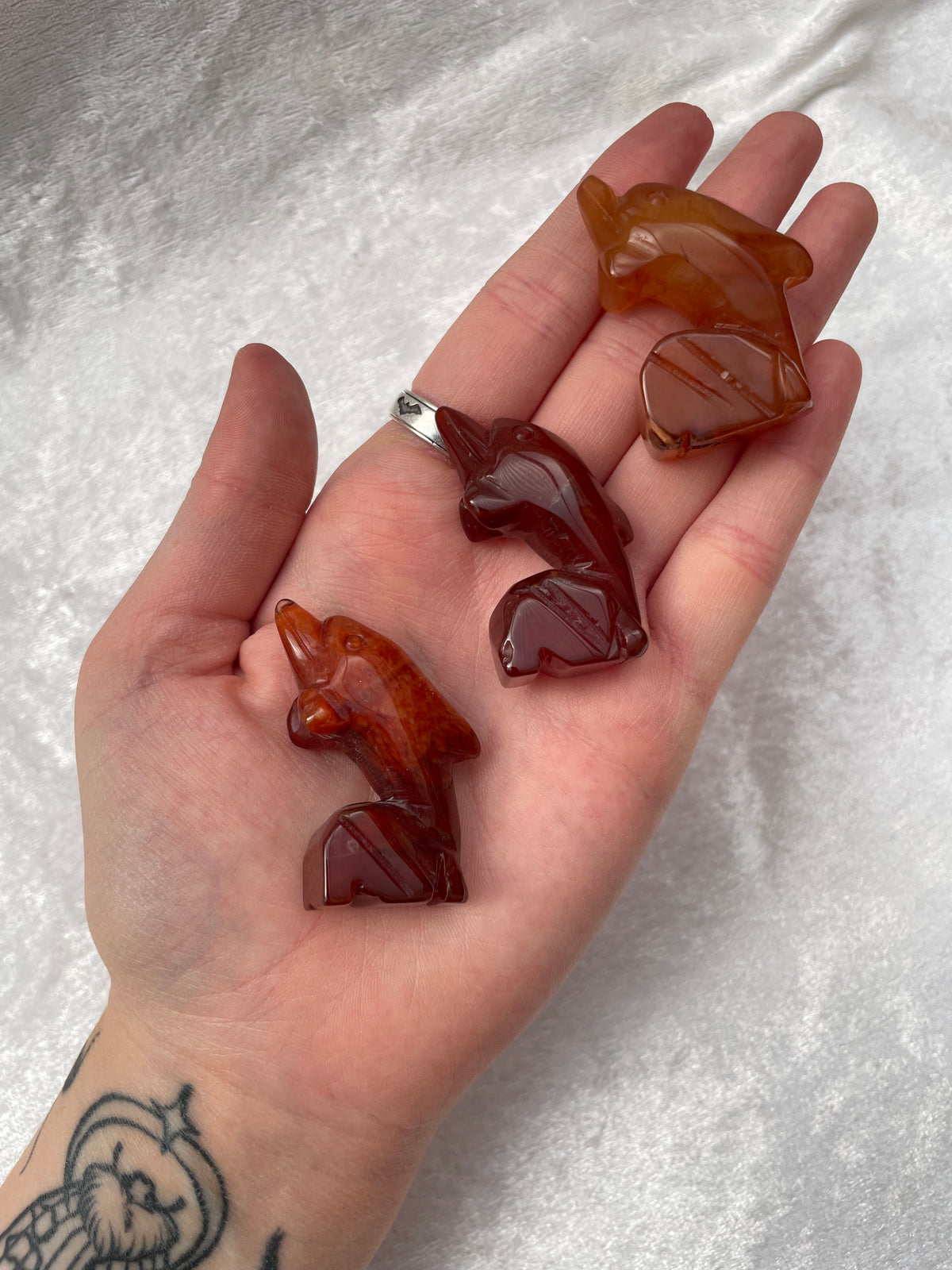 Carnelian Dolphin Carvings