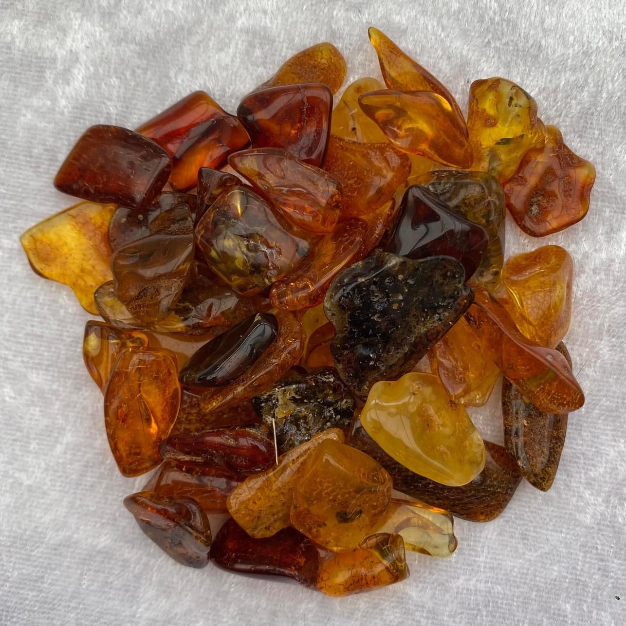 Tumbled Amber Pieces