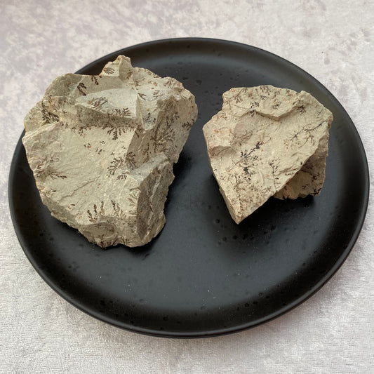 Rough Dendritic Opal