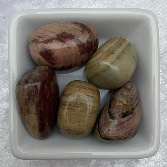 Polychrome Jasper tumblestones