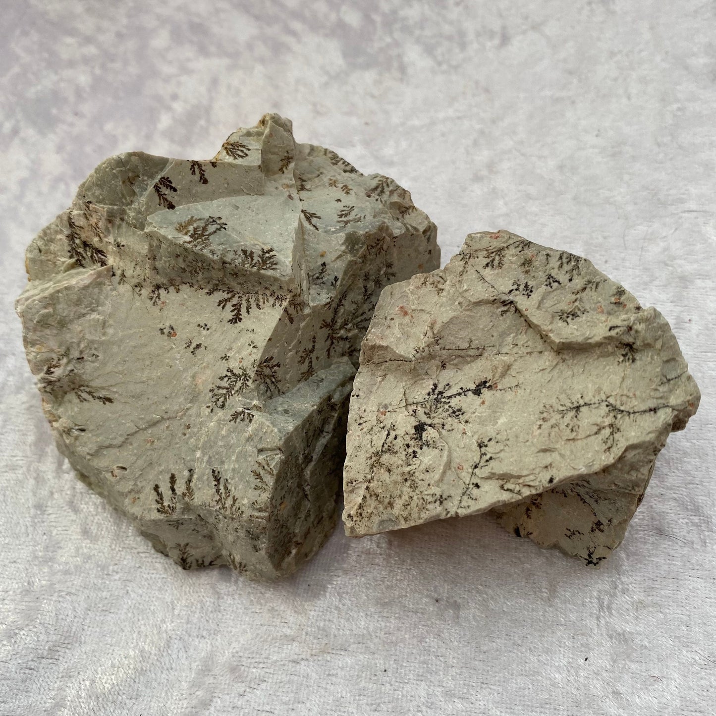 Rough Dendritic Opal
