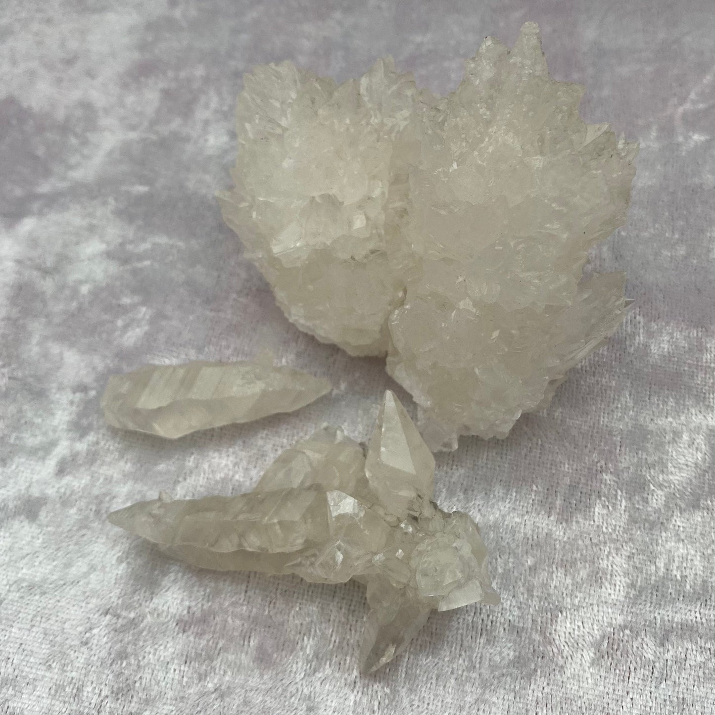 Crystal Coral Aragonite
