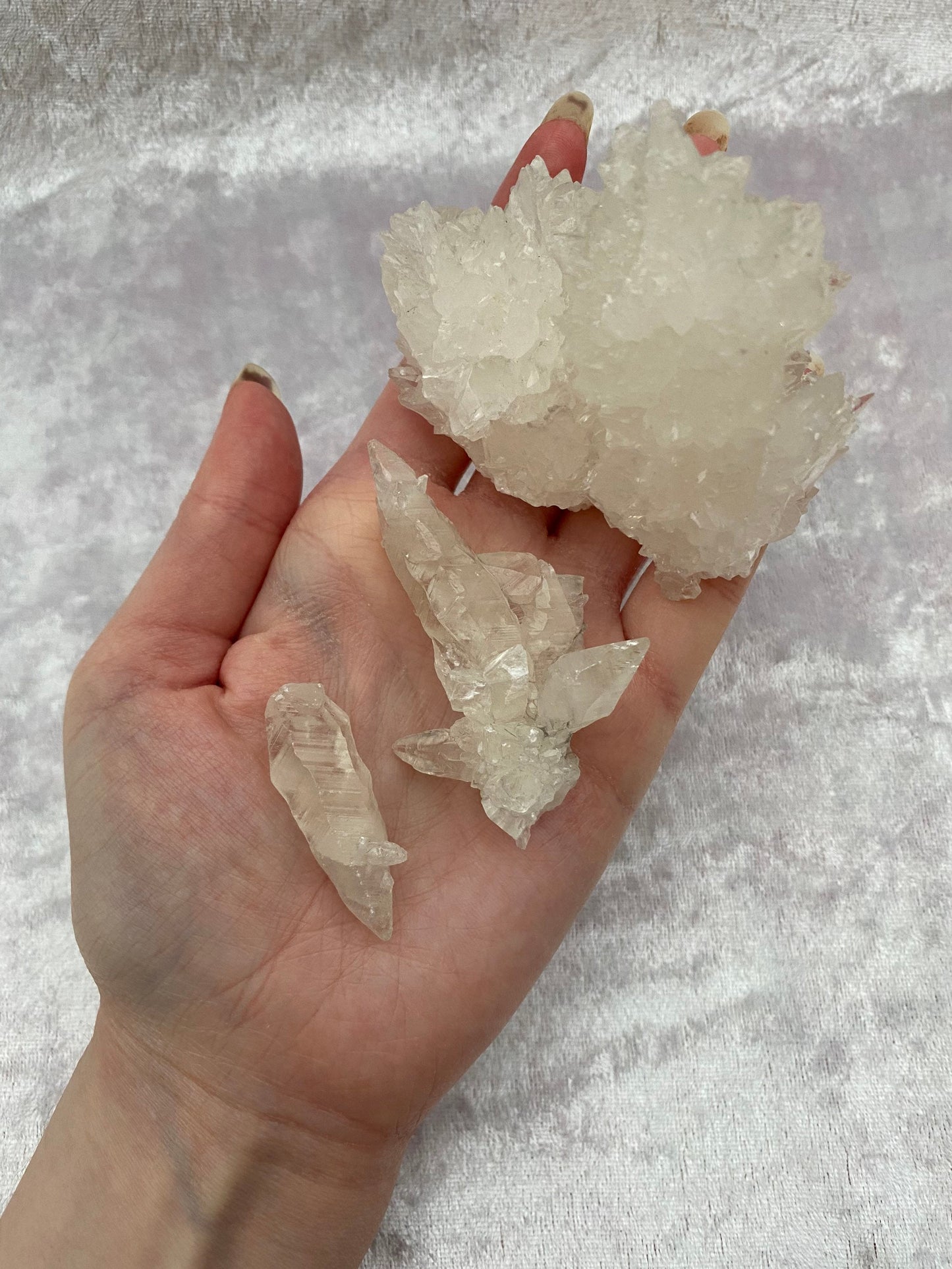 Crystal Coral Aragonite