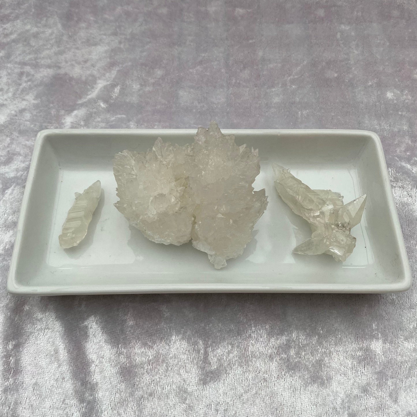 Crystal Coral Aragonite