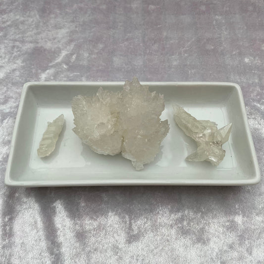 Crystal Coral Aragonite