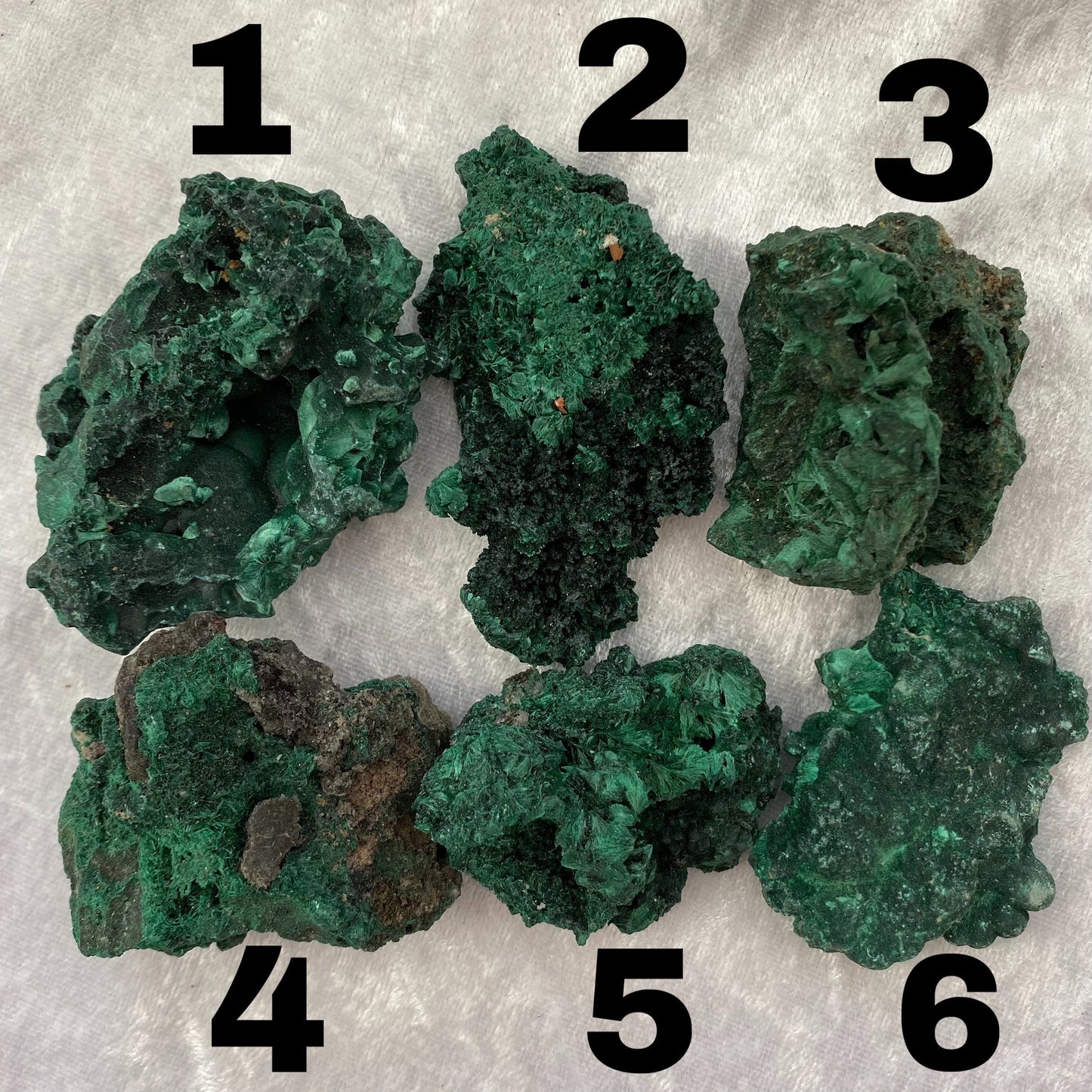 Velvet Malachite