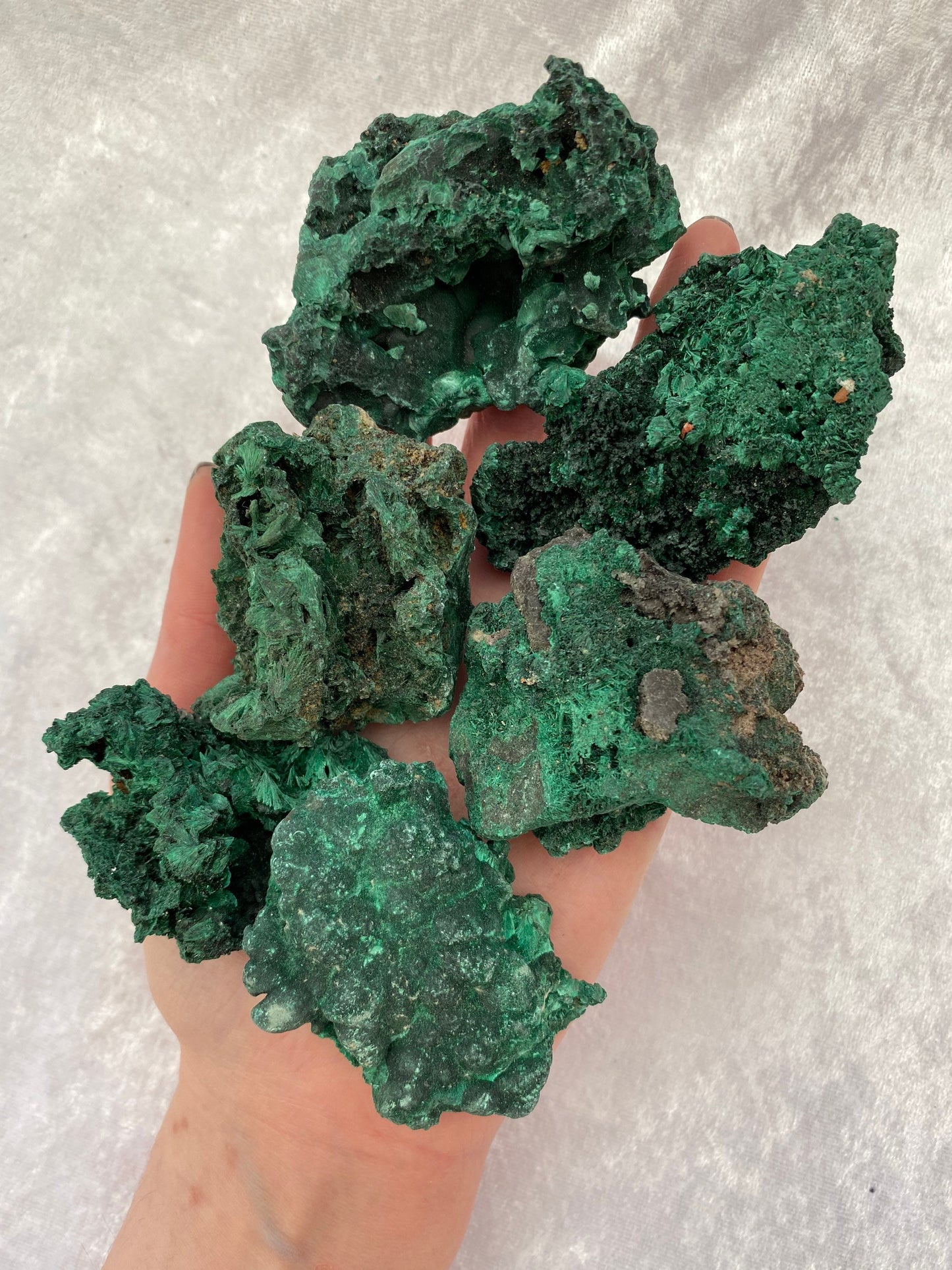 Velvet Malachite
