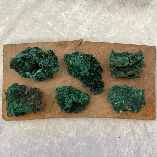 Velvet Malachite