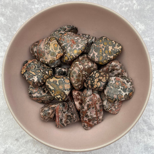 Leopardskin Jasper tumblestones