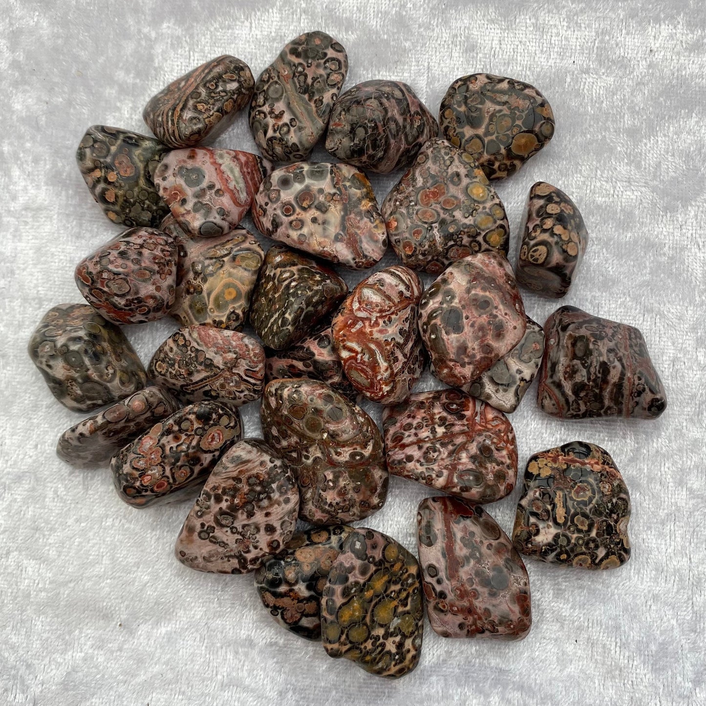 Leopardskin Jasper tumblestones
