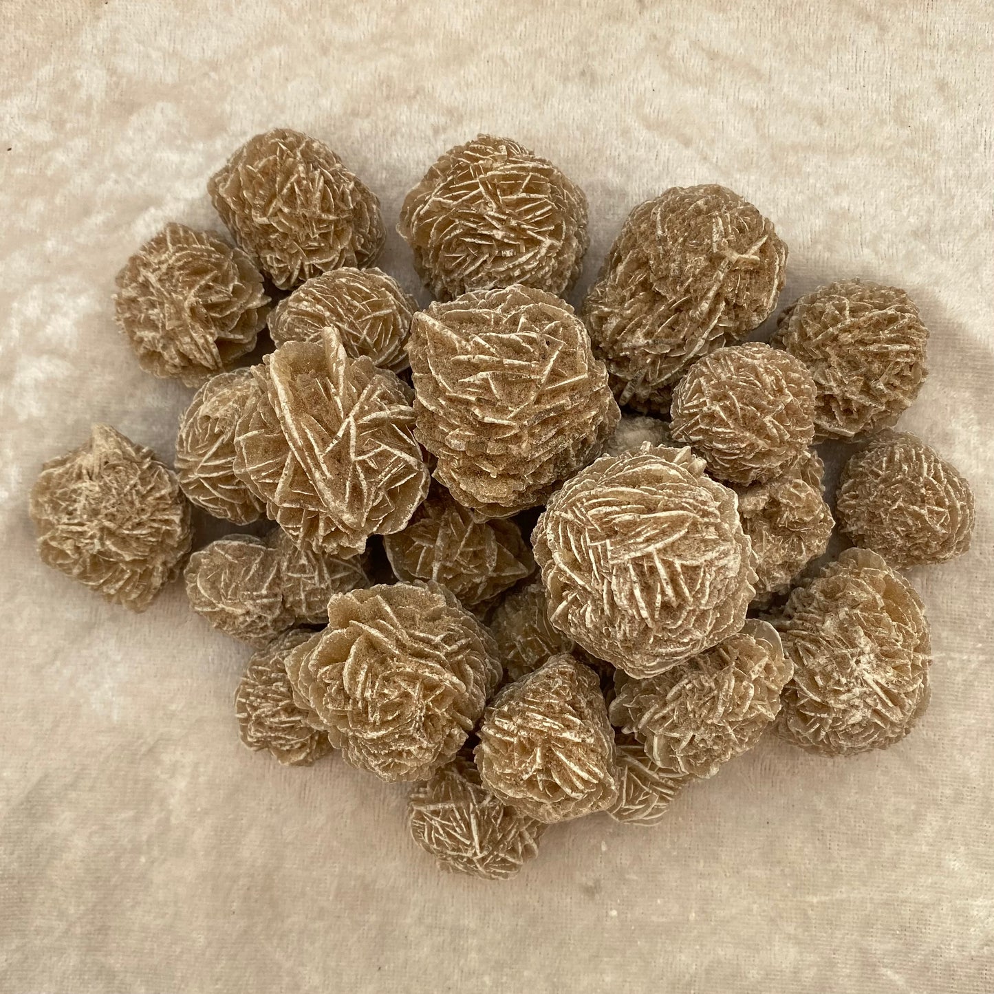 Desert Rose clusters
