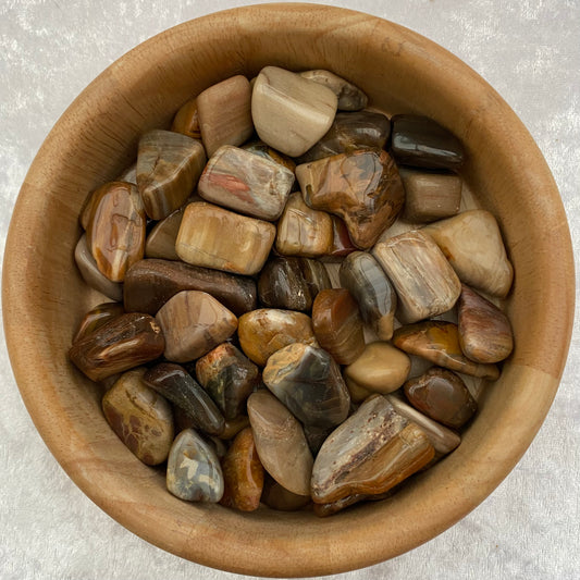 Petrified Wood tumblestones