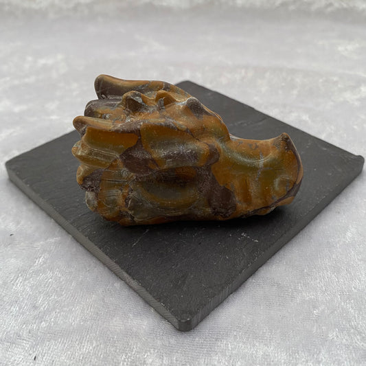 Bamboo Jasper Dragon Head