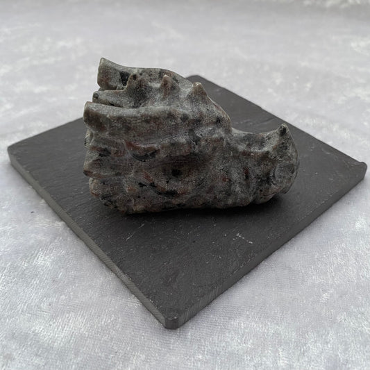 Yooperlite Dragon Head