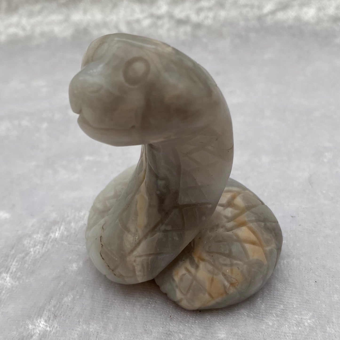 Grey Agate Snake