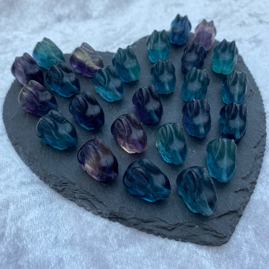 Mini Fluorite bunny rabbits