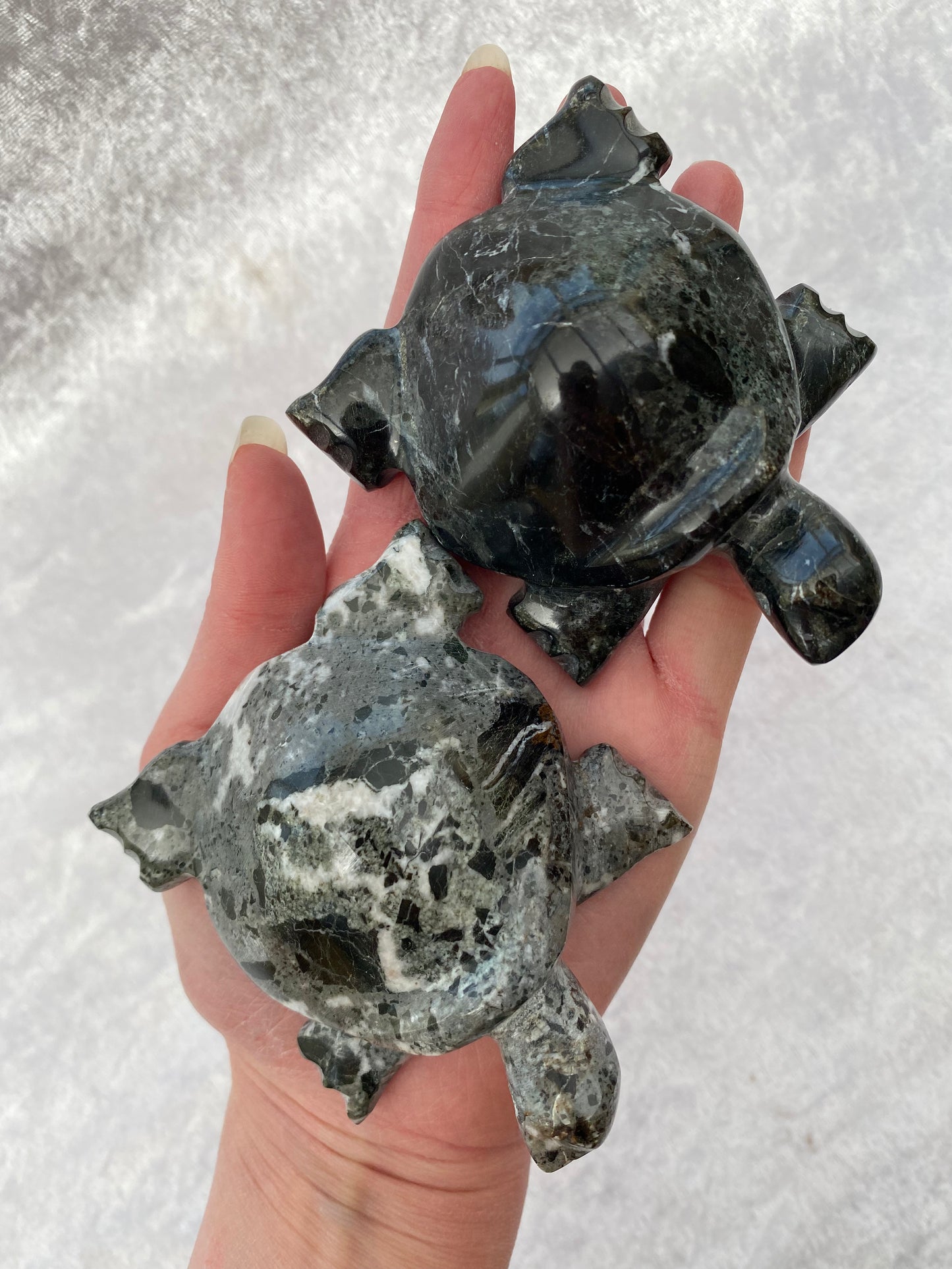 Black Marble Turtles