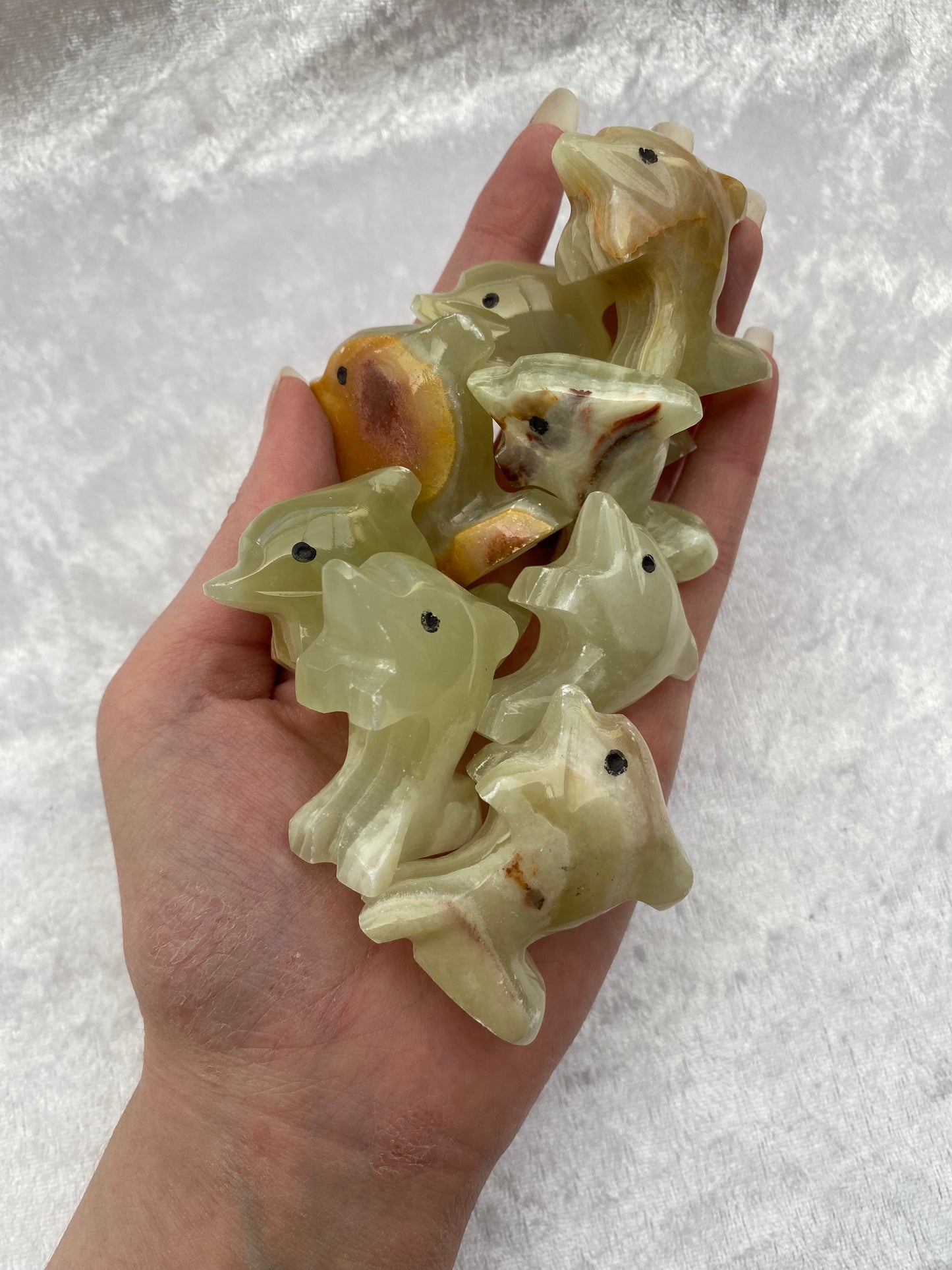 Mini Onyx dolphins