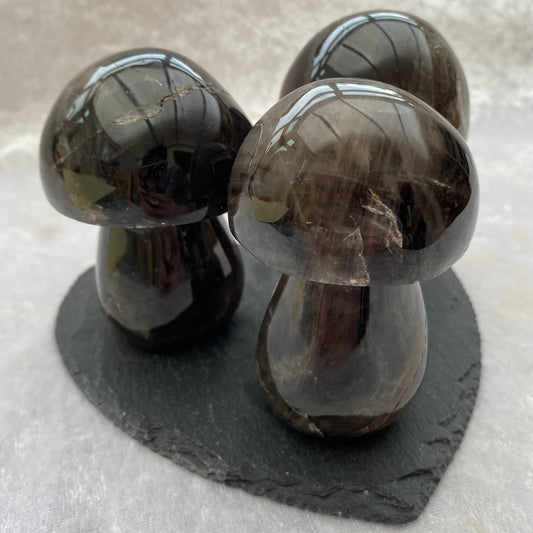 Smoky Quartz Mushrooms