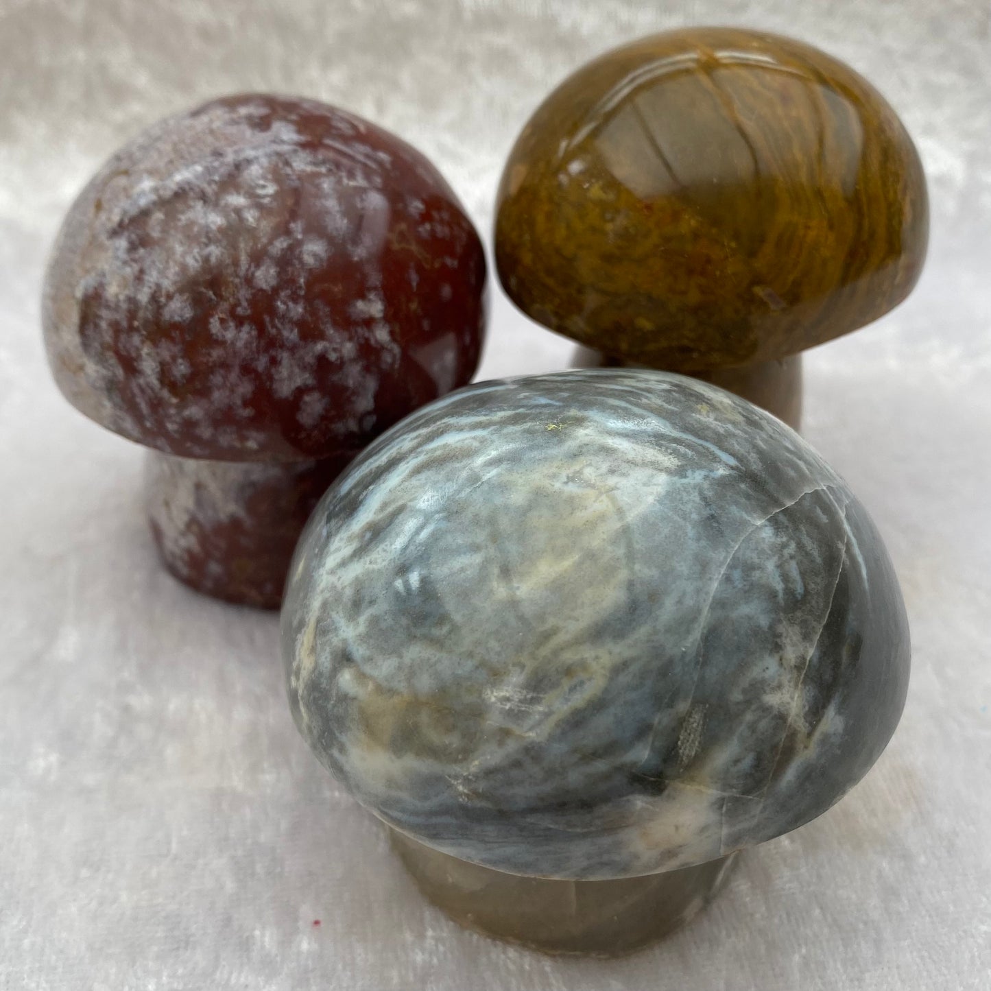 Ocean Jasper Mushrooms