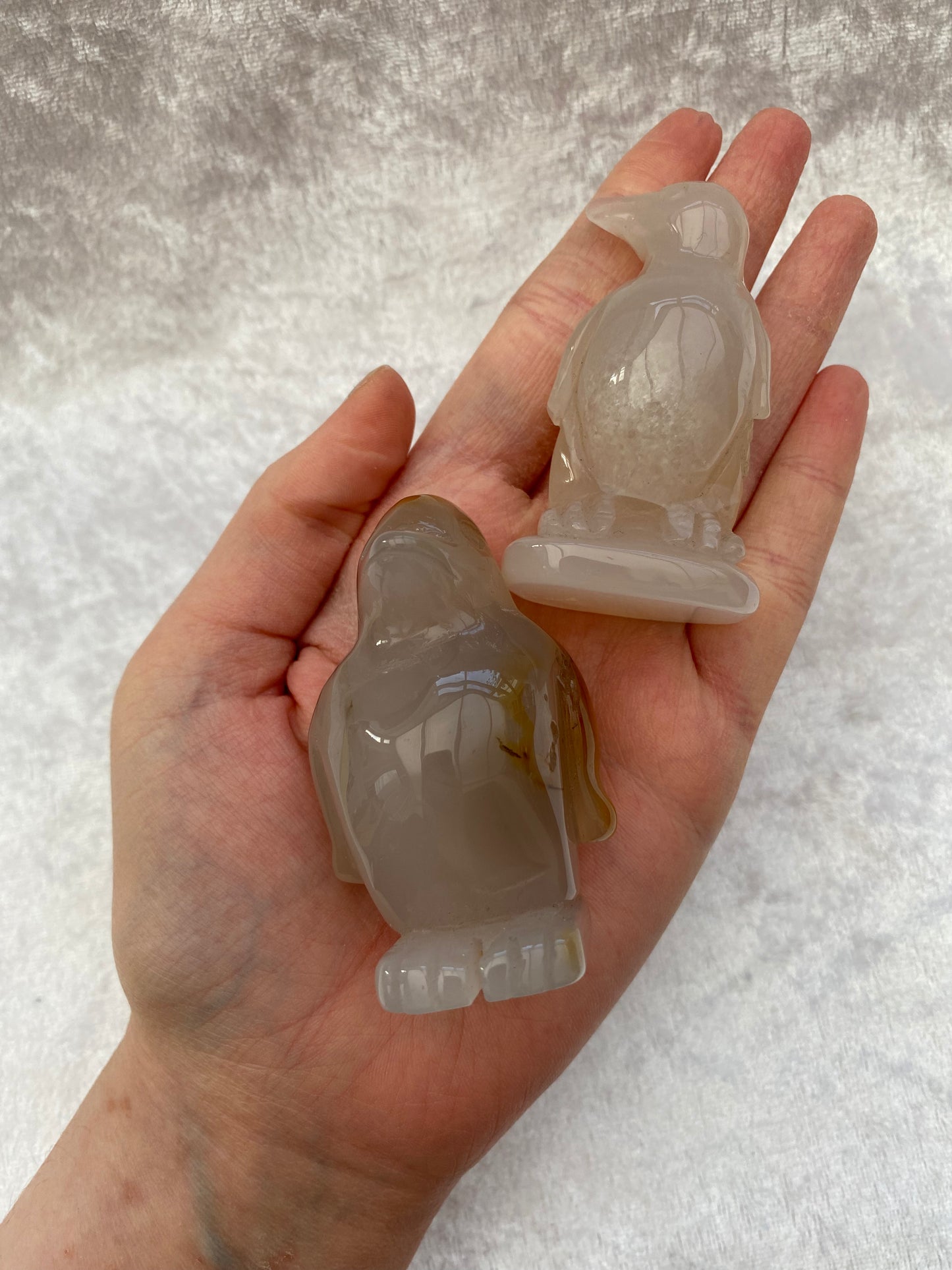 Grey Agate penguins